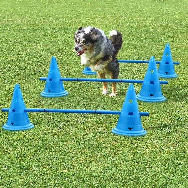 Équipement 3set produits de formation de chien chiens durables en cours d'exécution piquets de saut animaux de compagnie Sports de plein air piquet pôle équipement d'agilité pour animaux de compagnie portable