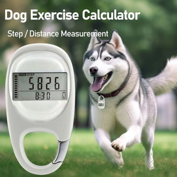 Équipement Calculateur d'exercice quotidien pour chien Pet Portable Digital Sports Comptage des chiens Compteur de pas Distance de marche Podomètre Chien Suppiles