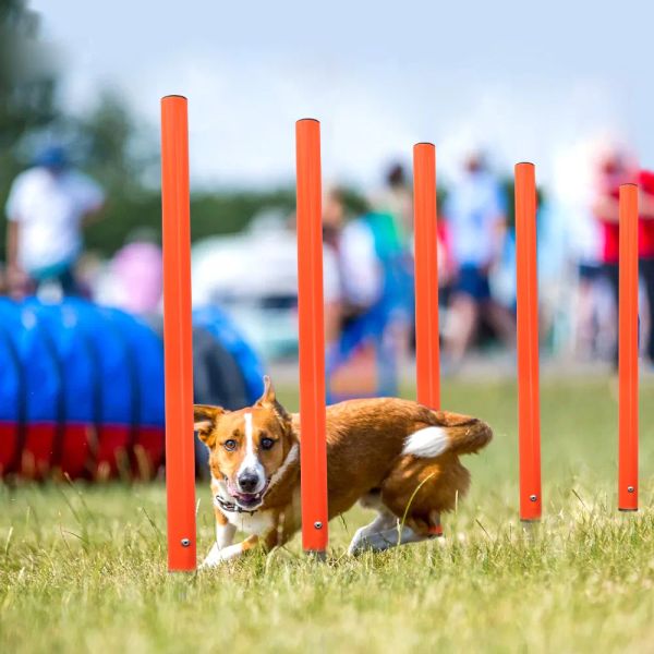 Équipement Produit d'entraînement pour chiens, outil de saut pour chiens portables, pour chiens en plein air, piquet de course, piquets de sport, pôle, équipements d'agilité pour animaux de compagnie