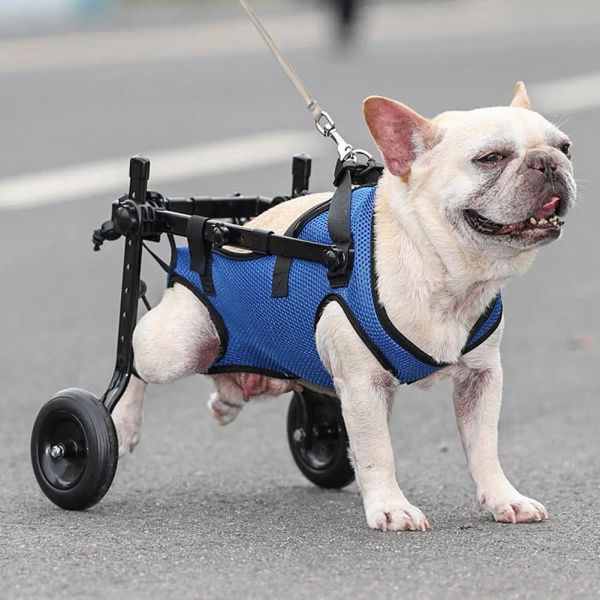 Equipo Ayuda de movilidad de mascotas de silla de ruedas para mascotas Ayudas de movilidad de mascotas con ruedas Caza de pierna de perro y soporte de cadera Herramientas para caminar con silla de ruedas