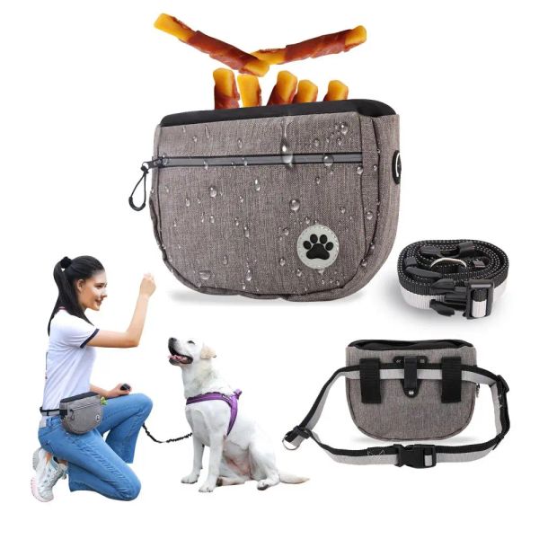 Équipement Portable sac d'entraînement de friandises pour chien grande capacité Snack appât chien obéissance agilité pochette de stockage d'alimentation en plein air sac de taille de récompense alimentaire