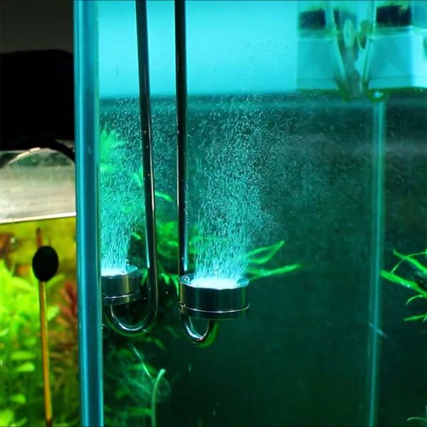 Diffuseur de CO2 en acier inoxydable pour aquariums, réservoir planté, Membrane céramique, atomiseur de CO2, pulvérisateur pour régulateur, accessoires d'aquarium