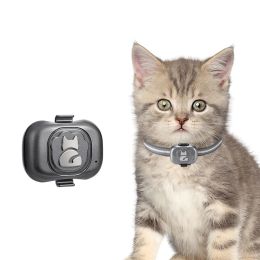 Équipement étanche IP67 120G PETS WIFI LBS SIM CARDE GPS COLLOCER COLLOS ANTILOST LOCATEUR DE SUITE DE SUIVANCE CAT CAT CAT