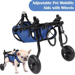 Équipement en fauteuil roulant pour chat handicapé grand chiot