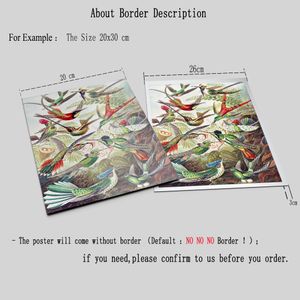 Ernst Haeckel Biology Partters Nature Birds Impresiones Vintage Hummingbird Botánico Arte de pared tropical Pintura Pintura Decoración