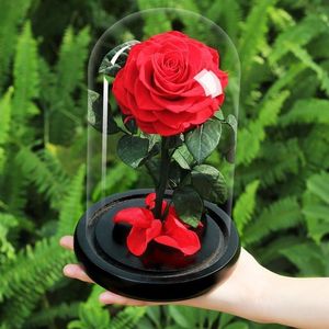 Fleur de rose éternelle avec dôme en verre, base noire, fleurs artificielles, cadeau pour la Saint-Valentin, cadeau de Noël, décoration de la maison, T20238W