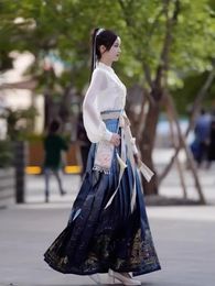 Etnische kleding volwassen Chinese nationale stijl dames verbeterd Ming-systeem Hanfu blauw paard masker rok dagelijks klein halster set 231212