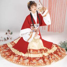 Vêtements ethniques Robe de l'année Système Ming Hanfu Supplément féminin Mi-longueur Femme Cheval Visage Jupe Épaissi Style d'hiver 231212