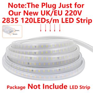 Plug EU / UK Power pour nouveau AC 220V 2835 120leds / m Pas de fil 10 mm x 5 mm PCB LED LED Éclairage Adaptateur d'alimentation d'éclairage