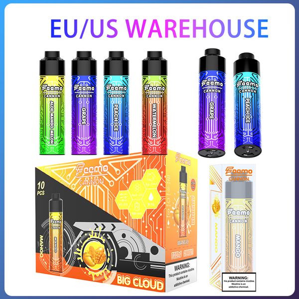 EU US Warehouse Puff 9K Puffs Vape jetable Pen Big Cloud Puff 10000 Feemo Cannon Vapes jetables Charge de câble de type C avec résistance de 0,5 ohm pour Puff 12K