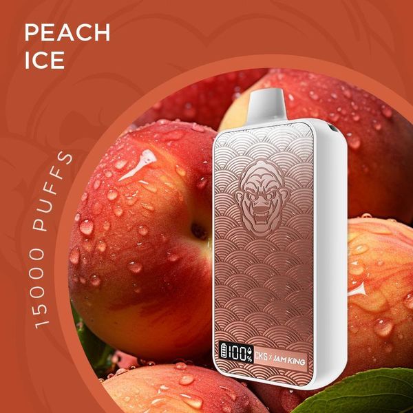 Stylo vape EU 15000 Puff Jam King e cigarette 24 ml Juice Pod jetable vaper Écran Affichage 12 Saveurs 2% 3% 5% Nic Mesh Coil Rechargeable 650mAh vs Lost Mary 10000 Puff