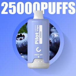 EU ENTREPOSSEMENT PILOT ORIGINAL PIET 25000 20000 VAPES VACTER 28 ML DÉPECONS DE VAPE SIGARETTA ELETTRONICA 2% 3% 5% 10 JUI FRUT