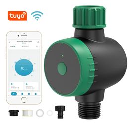 Euplus Tuya Garden Automatic Watering Timer Watering irrigatieprogrammeur Systeembenodigdheden voor tuinwerk voor Alexa Google Home 240329