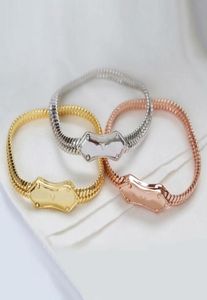 Europe America Style Lady Femmes Gold / Color Silver Colour Gravé V Four Feule Flower Nanogram Snake Chain Bracelet M689934095496