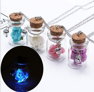 Europa en de Verenigde Staten Beach Rosy Rose Fashion Drift Bottle Hangers Lantaarns Glas Jar Ketting Dames Sieraden J001