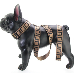 Collar para perro con letras europeas y americanas, cuerda para sujetar la mano para perros grandes, medianos y pequeños