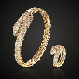 Europese en Amerikaanse stijl snake bone armband ring set creatieve slangvormige vergulde volledige diamanten armband Hiphop Sieraden groothandel