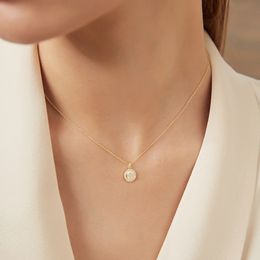 Mode Européenne Noble Lady s925 Pendentif En Argent Collier Femmes Marque De Luxe Incrusté À La Main 3A Zircon Plaqué Or 18k Collier Charme Sexy Femme Collier Chaîne Bijoux