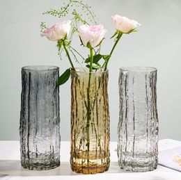 Europese eenvoudige vazen ​​Creatieve transparante kleurrijke glazen vaas Tabletops Smallmouth Home Flower Vaas Crafts Decor