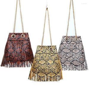 Sacs de soirée CELELA 2024 Retro Fashion Snake Pattern Chain Tassel Backet Back Back One épaule Messenger Femme PU Le cuir à main pour les femmes