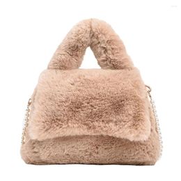 Sacs de soirée Mode féminine polyvalente épaule en peluche grande capacité sacs à main féminins voyage trajet léger dames loisirs bandoulière