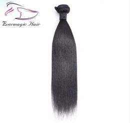 Evermagic Maleisisch rechte haar 100 HUND HAAR BUNDLES Nonreme Hair Extension Natural Color kan kopen 33501037