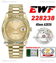 EWF Day Date 228238 ETA A2836 Reloj automático para hombre Bisel estriado de oro amarillo Esfera en barra de champán Pulsera presidencial Misma tarjeta de serie Super Edition Puretime H7