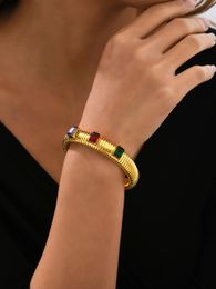bracelet anneau serpent zircon exagéré, bracelet classique en acier titane, conservation de la couleur sous vide en acier inoxydable plaqué or 18 carats YS201