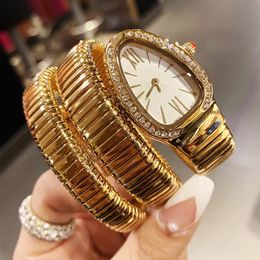 Dure ontwerper Hoge kwaliteit stalen riem mode creatieve Serpentine twee ring stalen riem horloge Dameshorloge persoonlijkheid volledige diamant fabrikanten agent