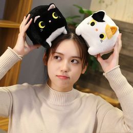 Explosieven Animal Square Cat Toy Plush Toy Cat Puppy Doll Cat Doll