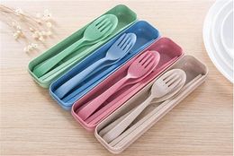 Exquise Health Milieu Tarwe Platycodon Strawbestek Set draagbare camping tafelwerk lepel lepel chopsticks d144