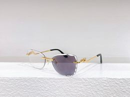 Exquisitas gafas de sol de metal para mujer, recorte sin marco, lente fotocromática de ojo de gato grande, montura cuadrada, gafas de pantera de carti, gafas de estilo ins de tendencia femenina, lunetas