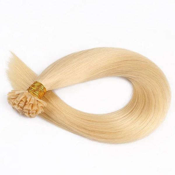 Extensions ELIBESS HAIR Kératine Nail U Tip Extensions Couleur 613