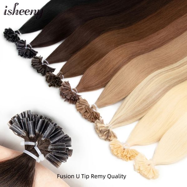 Extensions Isheeny 14 