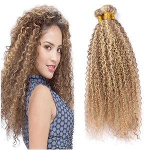 Extensies Peruaanse Maagdelijke Menselijk Haar Bundels Afro Kinky 27 613 Bruin en Blond 3 Bundels Haar Mix Piano Haarverlenging aanbiedingen