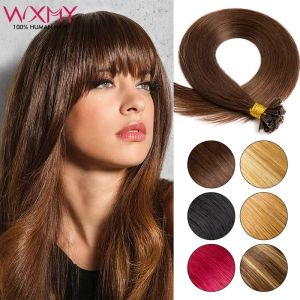 Extensions Extensions de cheveux humains Remy lisses en U Tip, 50 brins, WXMY Fusion, Extensions de cheveux humains pour femmes, noir, brun, blond, bordeaux