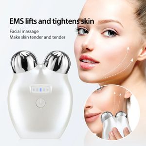 Oogmassager EMS tillen Microcurrent Roller Face Massager Trapport Anti Wrinkle Aging Massage Face Slimming Roller Skin Care Device 231218