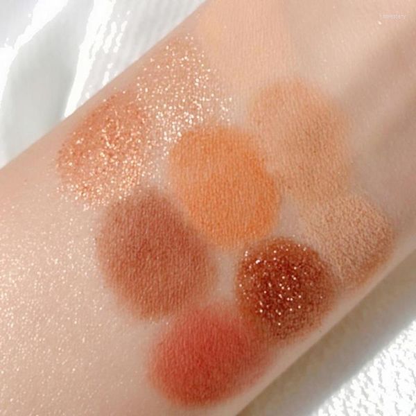 Palette de fard à paupières cosmétique ombre à paupières 9g plaque élégante châtaigne 9 couleurs maquillage paillettes