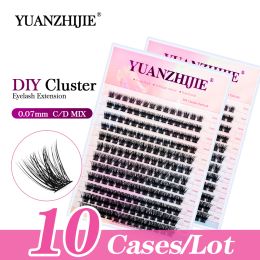 Cils 10 cases yuanzhijie segment diy segment des cches flèches trasparents clairs cils bande pbt coréen matériau matériau cils bundles fournitures