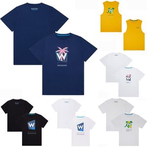 F1 2024 T-shirt de course pour adultes T-shirt de course d'équipe de formule 1 T-shirt de plage d'été T-shirt style décontracté pour hommes Gilet à séchage rapide Jersey Grande taille