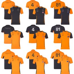 F1 2024 Team Driver Set Up T-shirt Formula 1 New Season Polo Shirts T-shirts Racing Fans Short-Sleeve Summer Sports Jersey Custom