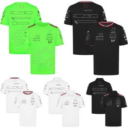 2024 F1 Team Racing T-shirt Formule 1 Driver T-shirt Polo shirt Nieuwe seizoensauto fans Casual Jersey Tops Summer Men's Clothing T-shirt