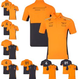 F1 2024 Team Poloshirt T-shirt Formule 1 Coureur Set-up T-shirt Racing Sport Ademend Jersey Zomer Race Merk Heren T-shirt Tops