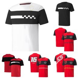 Camiseta de carreras F1 Fórmula 1 nuevo equipo POLO con cuello redondo personalización del mismo estilo