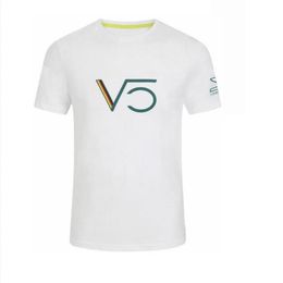 F1 Formula One Racing Suit Team Fans T-shirt Polo Shirt Heren Korte mouw Auto Werkkleding Maatwerk Verhoog3190