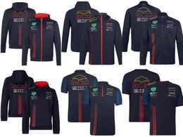 F1 Formula One Racing T-shirt 2023 Printemps et Automne Team Hoodie Personnalisé