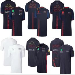 F1 Formula One racing T-shirt verão camisa de manga curta com o mesmo custom309S