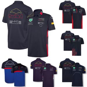 F1 Polo Shirt T-shirt Nieuwe Formule 1 Team Racing T-shirts Korte mouwen Zomerheren Casual Quick Dry T-Shirt Jersey Plus Size Tee