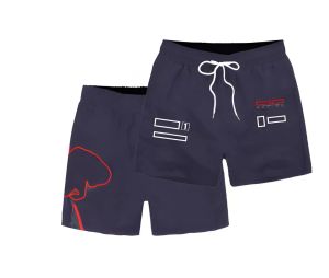 F1 pantalons de course shorts formule 1 équipe vêtements pour hommes vêtements de fan décontracté respirant pantalons de plage 286p