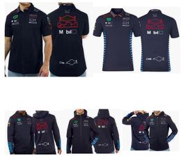 2024 NewF1 Racing Poloshirt Lente Lente Hoodie Zomer T-shirt met korte mouwen Hetzelfde aangepast